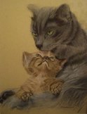 Intimit&eacute;