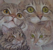 Cha-cha-chat