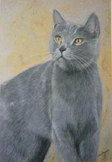 Le chartreux